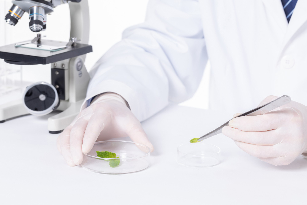 Food testing laboratory in Qatar analyzing food samples for quality assurance